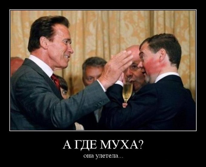 Шварцнегер и Медведев