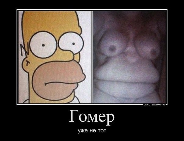 Есть сходство