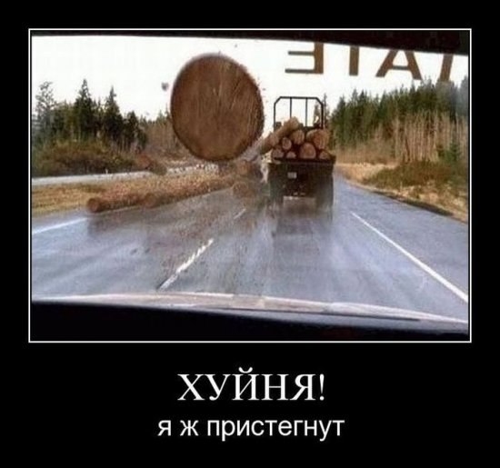 Тут залюбуешься деревом