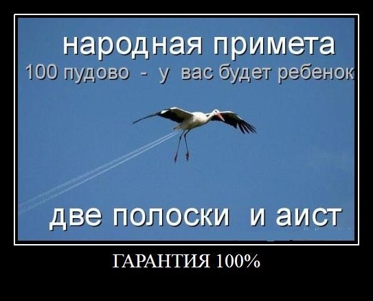 Аист и две полоски
