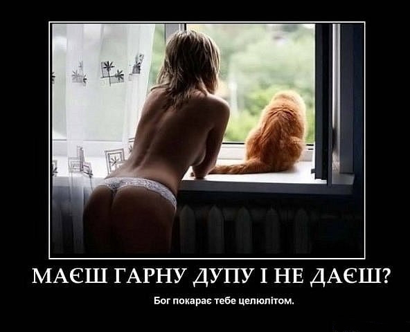 Попа и обратная сторона целлюлита