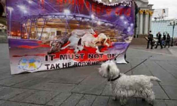 убийство животных в 2012 году в Украине
