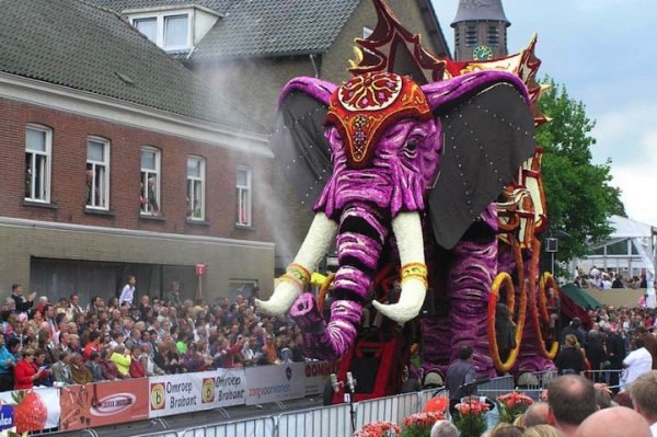 bloemencorsozundert1