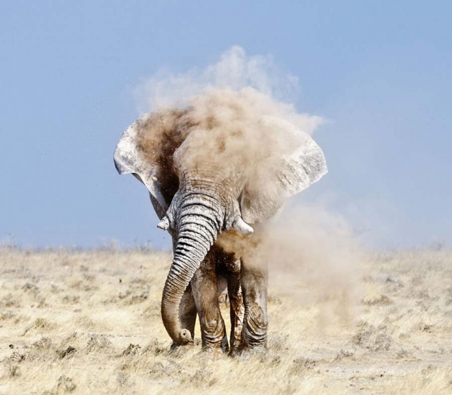 fotorabot-ot-national-geographic13