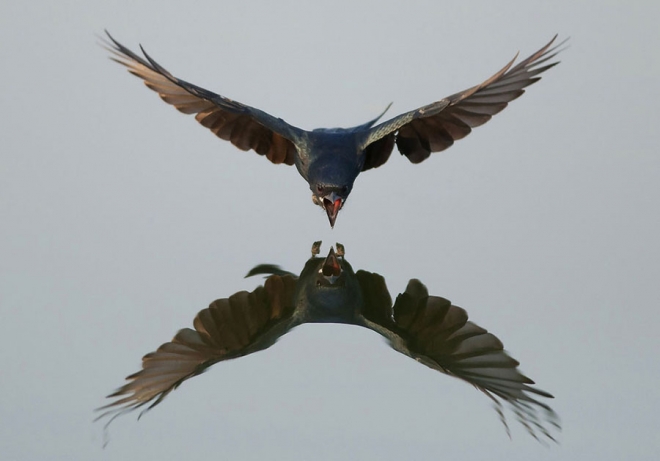 fotorabot-ot-national-geographic4