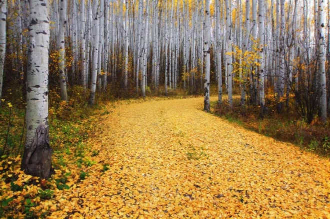 fotorabot-ot-national-geographic6