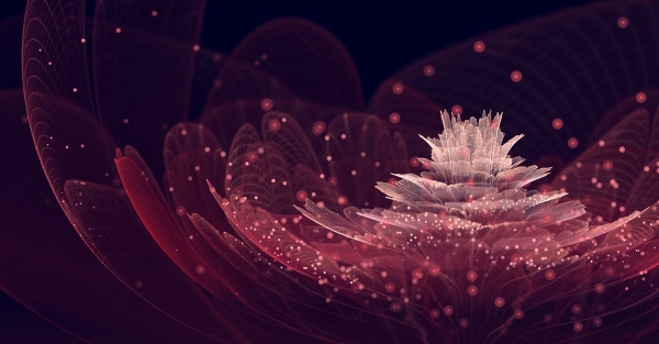 fractal_flowers1