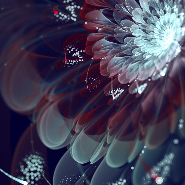fractal_flowers2