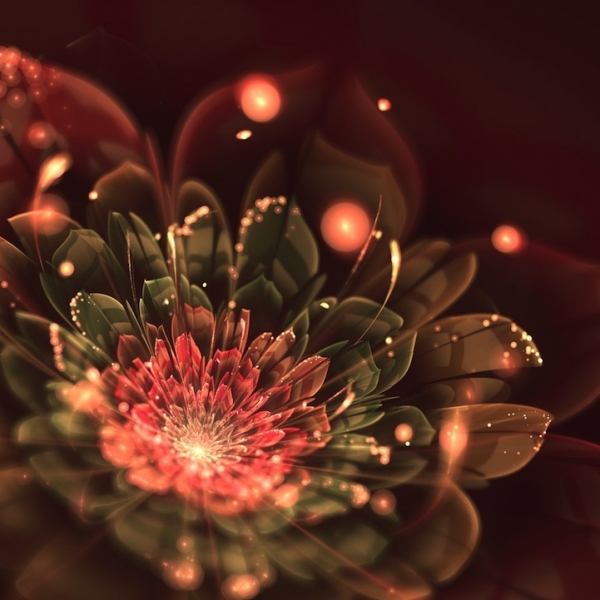 fractal_flowers4