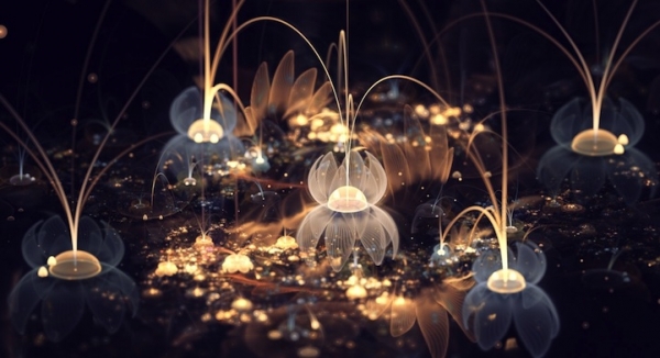 fractal_flowers6