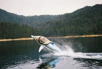 delfin1