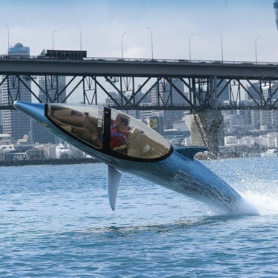 delfin2
