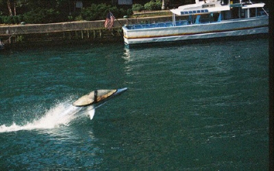 delfin4