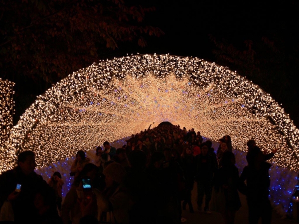 light-festival-japan-3