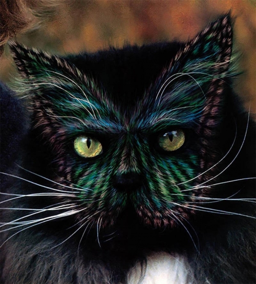 why-paint-cats4