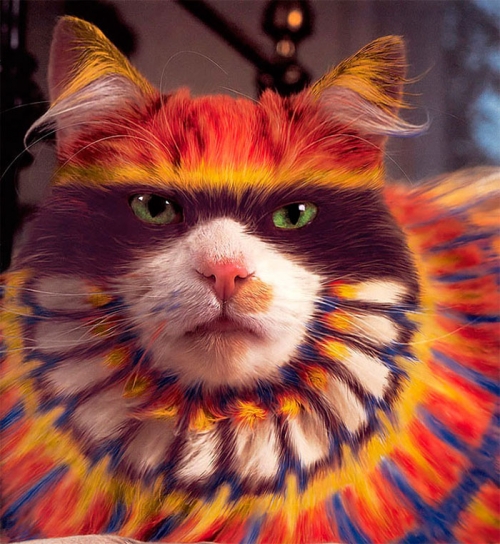 why-paint-cats5