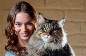 Фото. Руперт (Rupert) - самый крупный кот в мире
