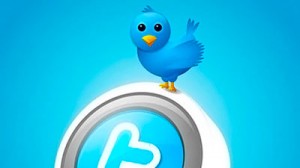 Фото. Всем известная птичка от Twitter